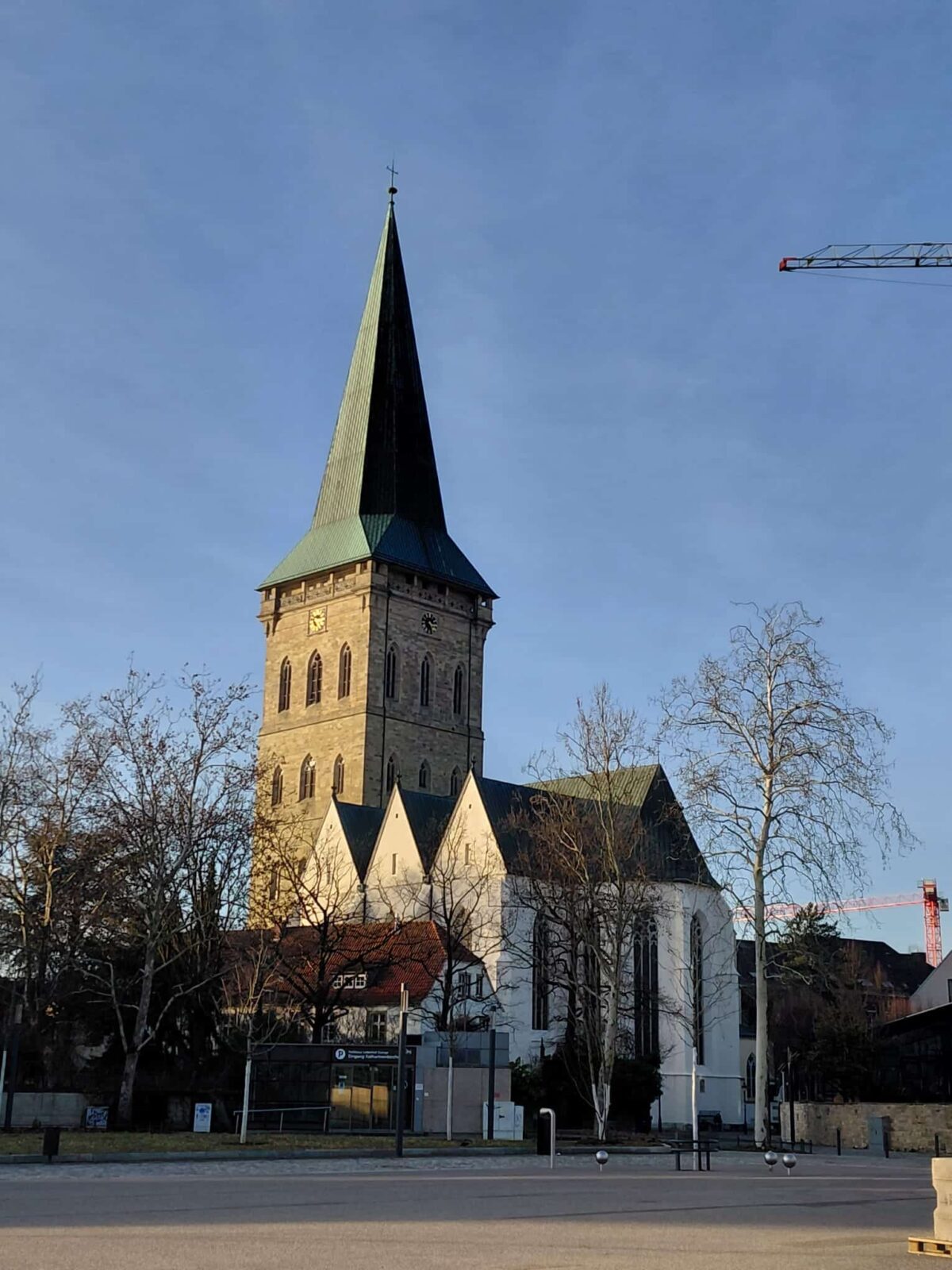 Sonne bestrahlt die Katharinenkirche / Foto: Justus Hanneken