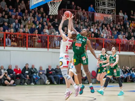 Panthers vs. Keltern in Osnabrück (Gesamtstadt)