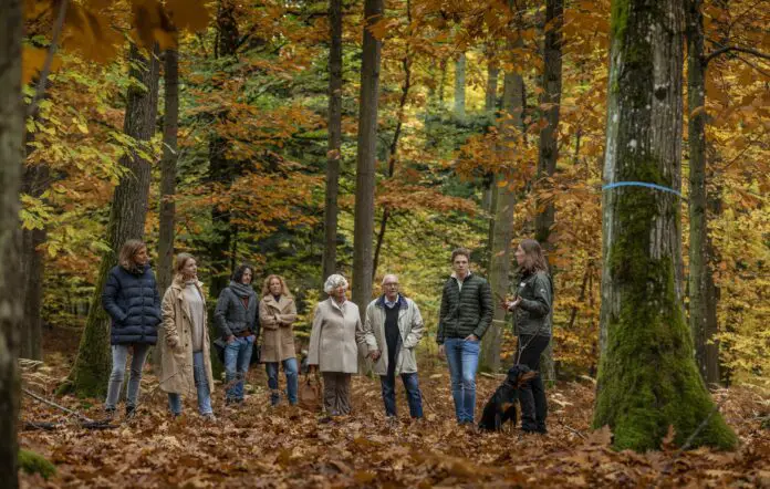 Waldführung im FriedWald. / Foto: FriedWald GmbH