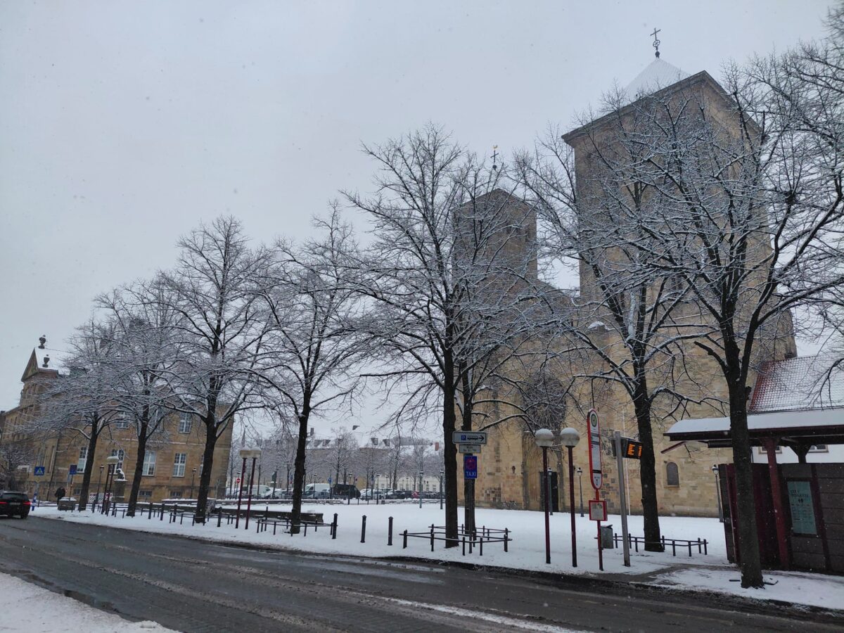 Osnabrücker Dom hinter verschneiten Bäumen / Foto: Justus Hanneken