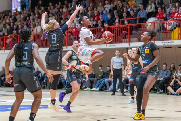 Panthers vs. Saarlouis Royals in Osnabrück (Gesamtstadt)