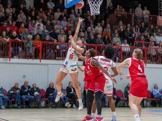 GiroLive-Panthers vs. TC Herne 1880. / Foto: Alexander Reinhard