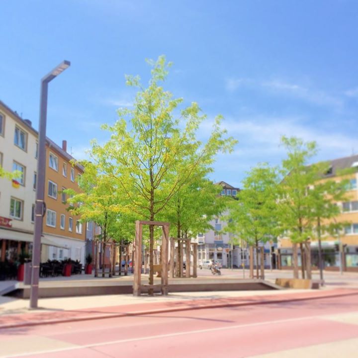 Rosenplatz Osnabrück
