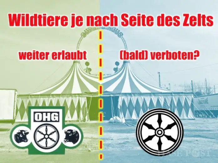 Ein Zirkus, zwei Vermieter