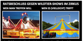 Bedingt durchsetzbar: Wildtierverbot im Zirkus Osnabrück