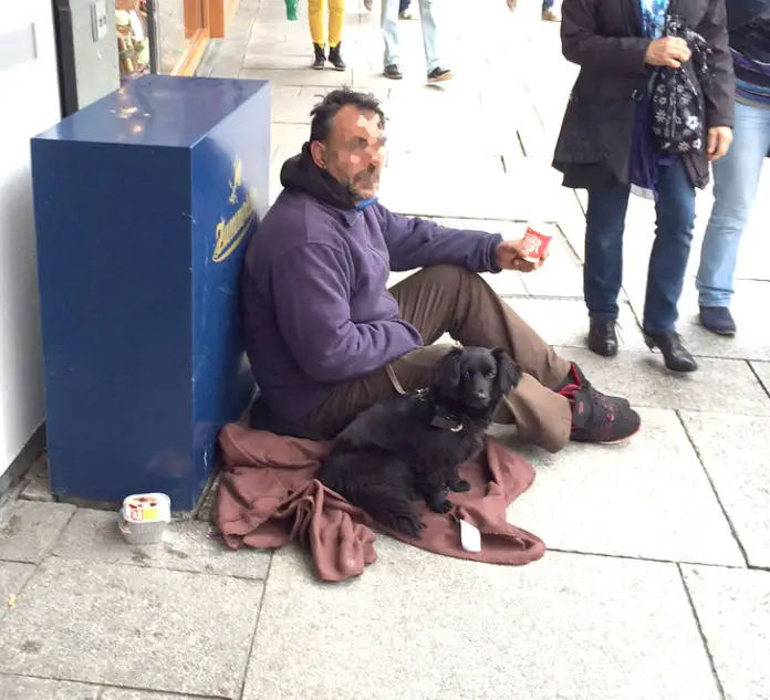Betteln mit Hund in Osnabrück