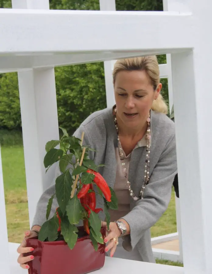 HANDBAG/BACK TO PEACE, Schloss Ippenburg