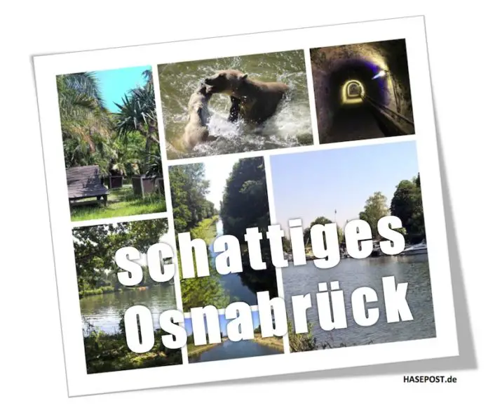 Schattiges Osnabrück in der Hitzewelle