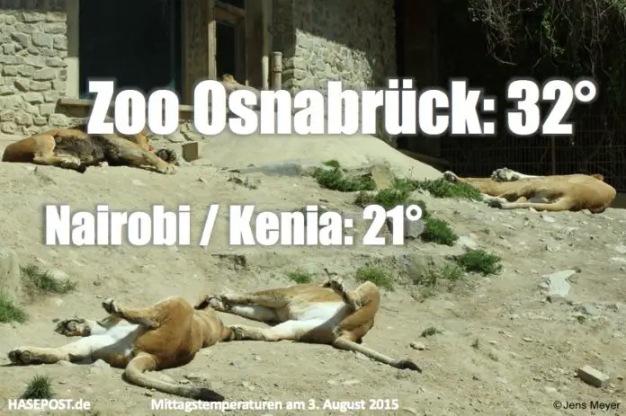 Hitzewelle in Osnabrück