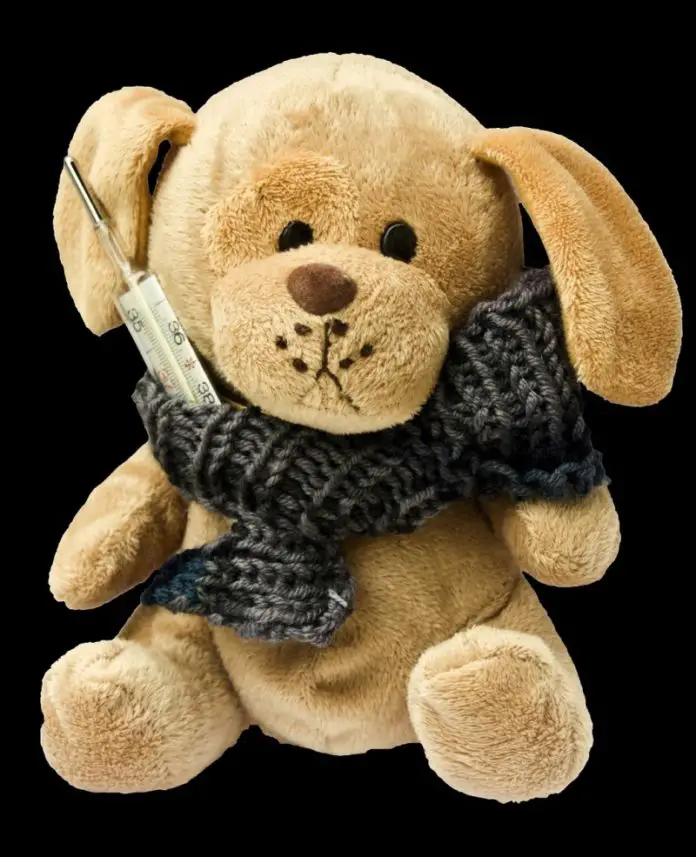 Zwingerhusten auf der Freilauffläche Osnabrück