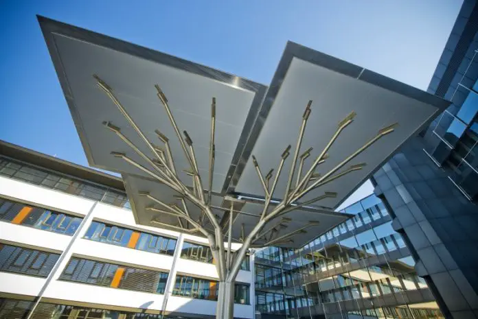 Stadtwerke Osnabrück läuten „Jubiläums-Endspurt“ ein