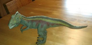 Dinosaurier in Osnabrück gefunden