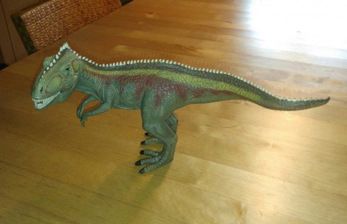 Dinosaurier in Osnabrück gefunden