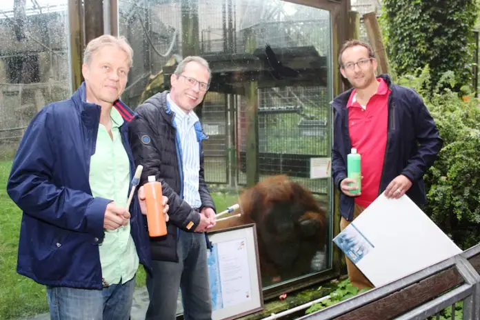Buschi im Zoo Osnabrück, Foto: Lisa Josef