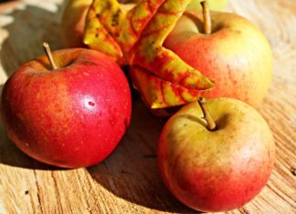 Veranstaltungen zum Kulturjahr in Osnabrück im Oktober