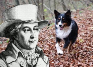 Mösers Meinung – zum Thema „Hund“ Mösers Meinung – zum Thema „Hund“