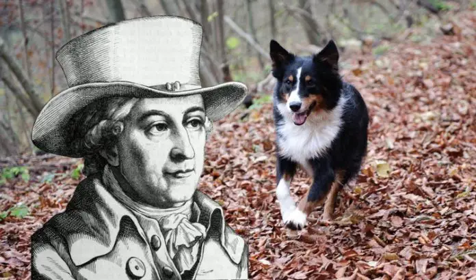 Mösers Meinung – zum Thema „Hund“