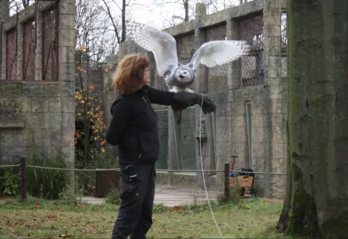 Greta kurz vorm Abflug mit Revierleiterin Kirsten Bischoff.