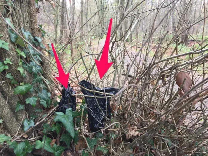 Kotbeutel im Gebüsch