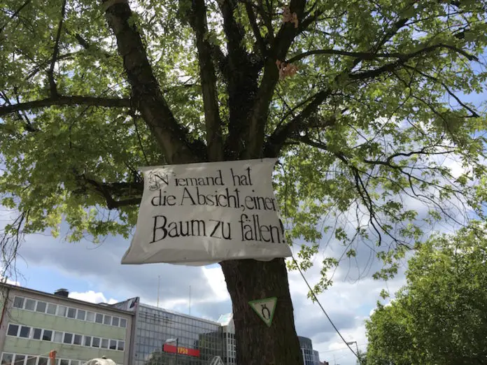 Baum Neumarkt Osnabrück