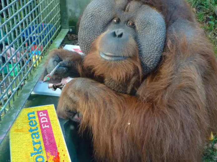 Mösers Meinung Buschi und die FDP