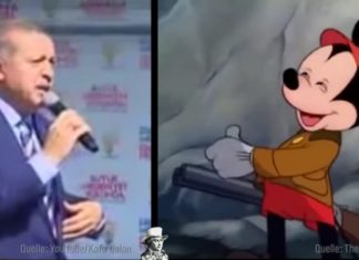 Mösers Meinung Erdogan