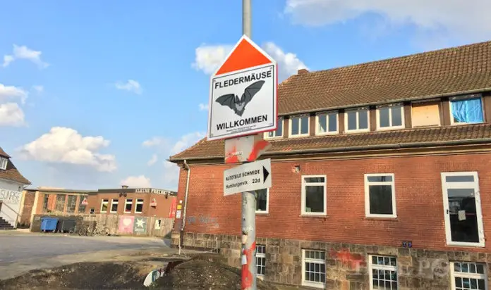 Fledermäuse Güterbahnhof Osnabrück