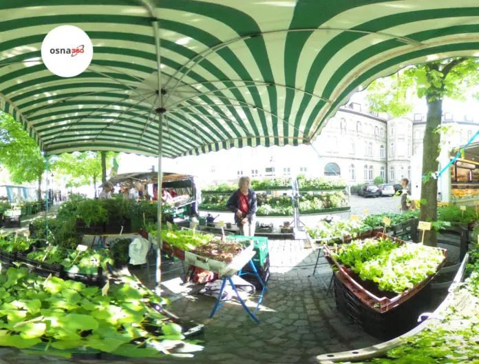 Wochenmarkt am Dom in Osnabrück