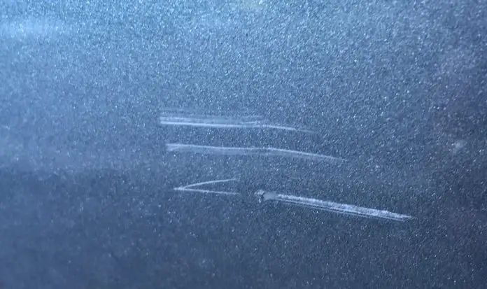 Lackkratzer (Symbolfoto)