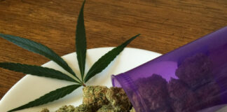 Cannabis (Symbolfoto)
