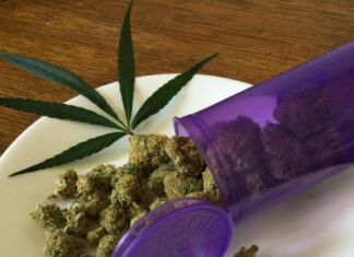 Cannabis (Symbolfoto)