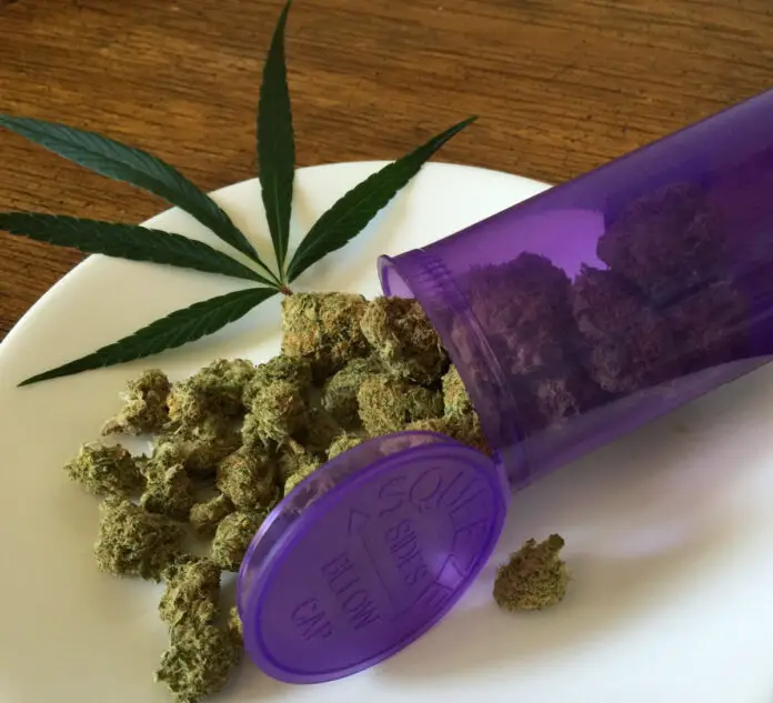 Cannabis (Symbolfoto)