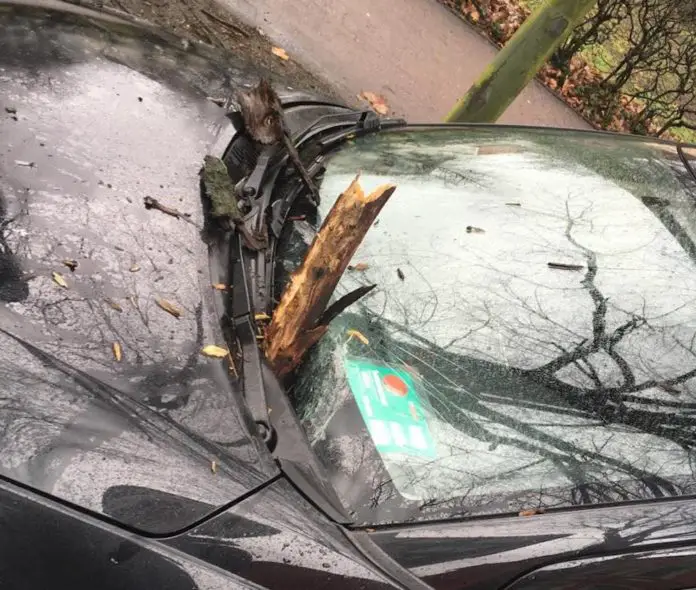 Sturmschaden, Windschutzscheibe