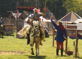 Mösers Meinung – eine Lanze brechen Mösers Meinung, Lanzen brechen