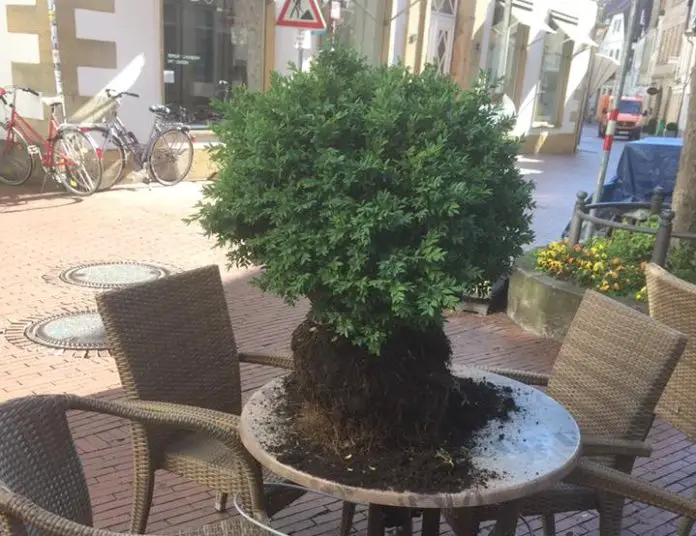 Joe Enochs Sportsbar