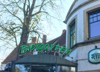 Kastanie, Grüner Jäger, Osnabrück, Kastaniensterben