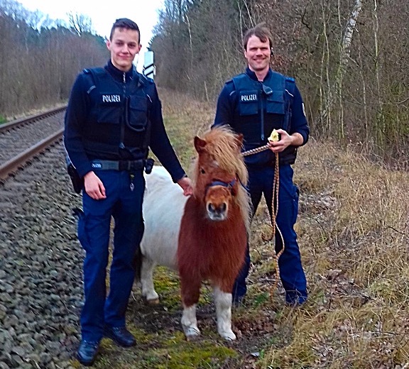 Bundespolizei, Pony, Polizei