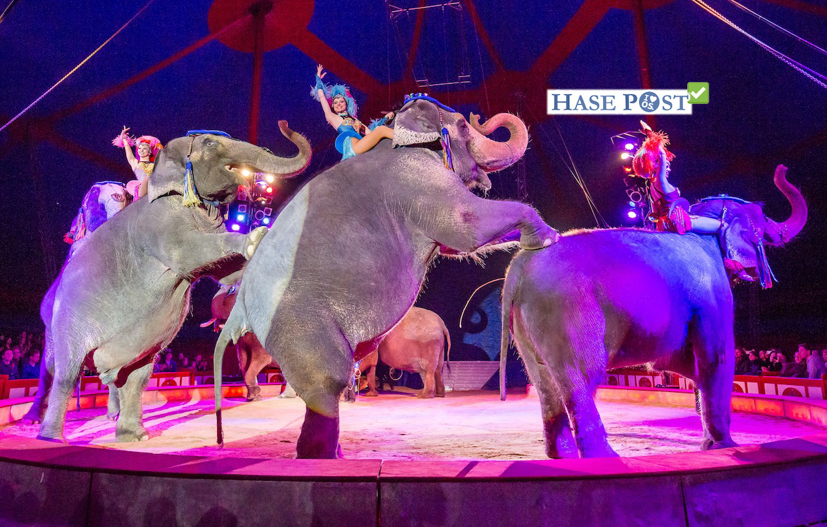 Cirkus Krone, Elefanten, Wildtierverbot