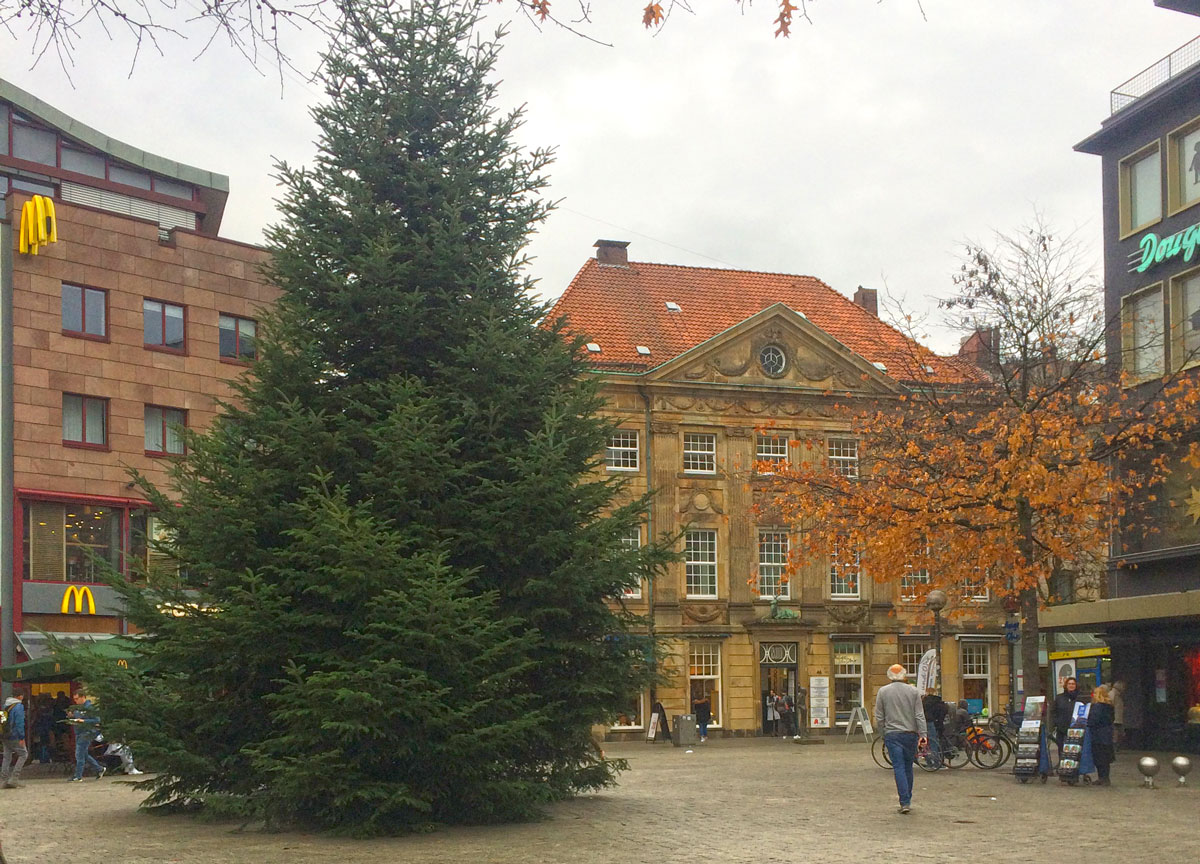 Weihnachtsbaum 2018 auf dem Nikolaiort, Osnabrück