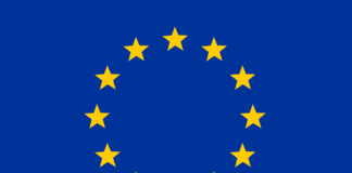 Europwahl 2019 Europa Flagge