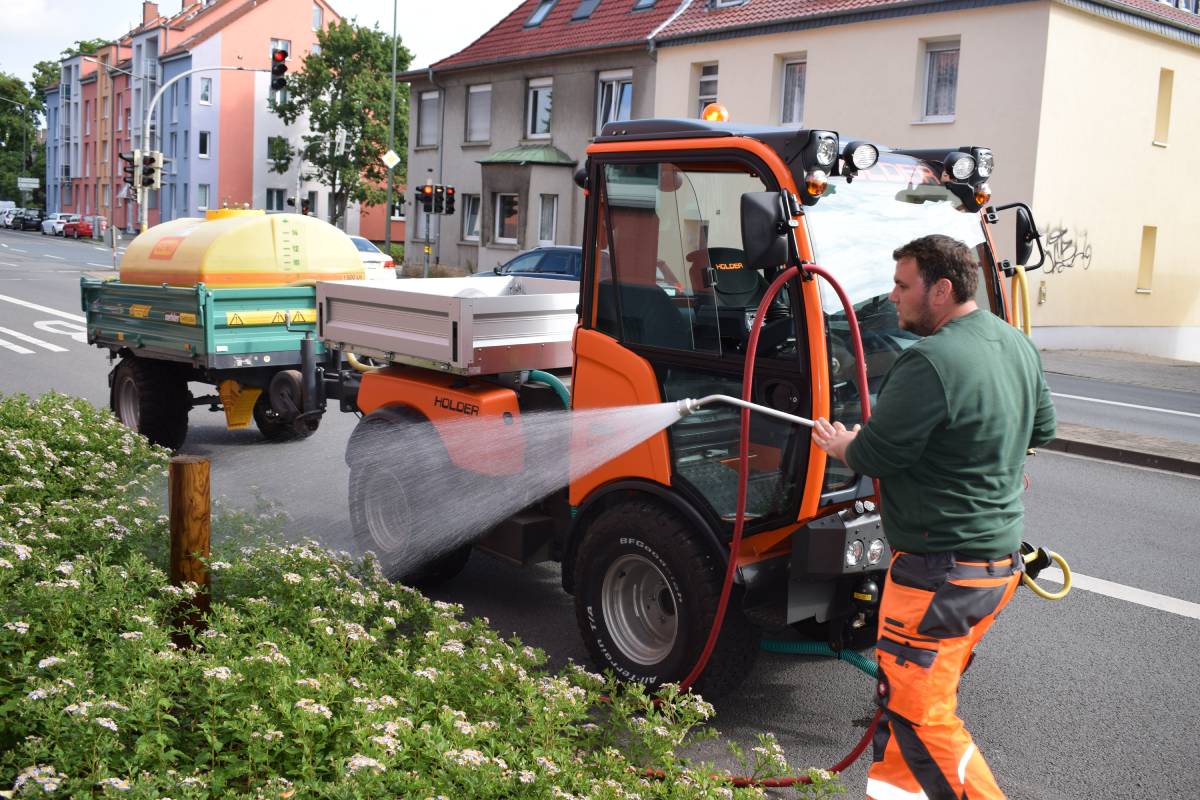Die Bäume in Osnabrück sterben - und keiner tut etwas dagegen