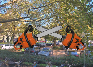 Kettensägen bedrohen den Klostergarten