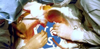 Foto: Jerry Hecht, PD