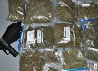 Erfolgreicher Tag für Drogenfahnder in Bohmte