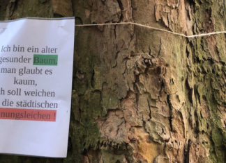 Mösers Meinung: Über die Vorzüge von Frauen Justus Möser