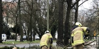 Feuerwehr Osnabrück im Sturmeinsatz, Sturm "Sabine"