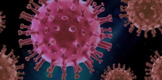 Symbol-Bild Corona-Virus
