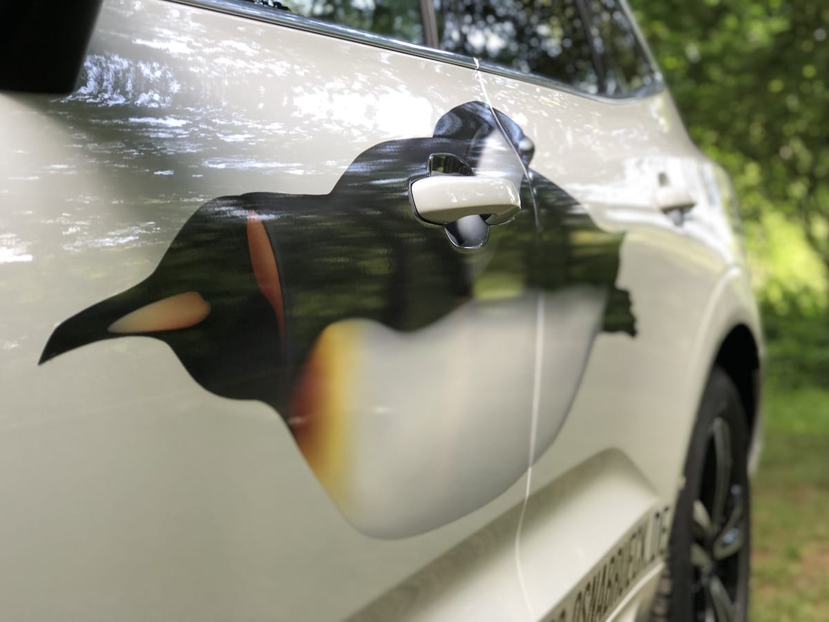 Ein Pinguin auf dem Volvo vom Autohaus Ellers