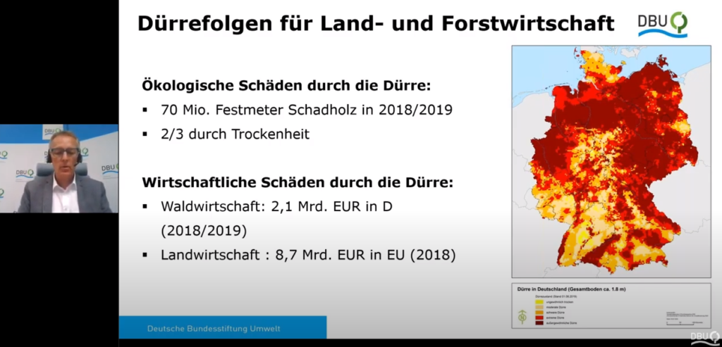 Dürre und Waldsterben: Deutsche Bundestiftung Umwelt zieht Bilanz für 2019