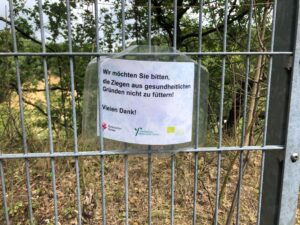 Tierische Landschaftspfleger - Ziegen im naturnahen Steinbruch am Westerberg
